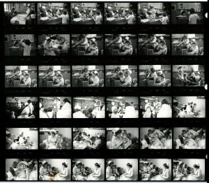 Contact Sheet 1629 by James Ravilious