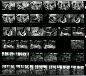 Contact Sheet 1631 by James Ravilious