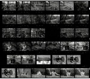 Contact Sheet 1633 by James Ravilious