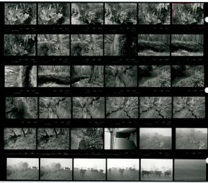 Contact Sheet 1635 by James Ravilious