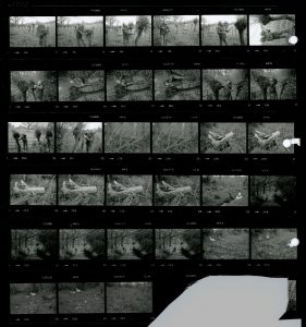 Contact Sheet 1639 by James Ravilious