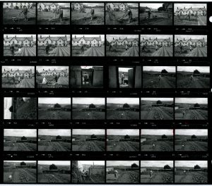 Contact Sheet 1643 by James Ravilious