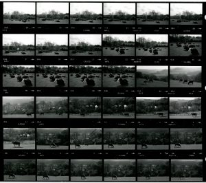 Contact Sheet 1644 by James Ravilious