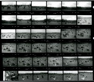Contact Sheet 1645 by James Ravilious