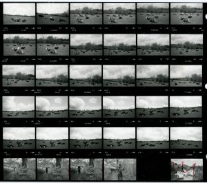 Contact Sheet 1646 by James Ravilious