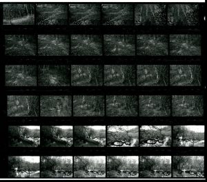 Contact Sheet 1649 by James Ravilious