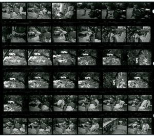 Contact Sheet 1651 by James Ravilious
