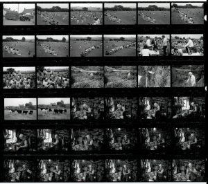 Contact Sheet 1659 by James Ravilious