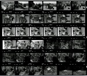 Contact Sheet 1663 by James Ravilious
