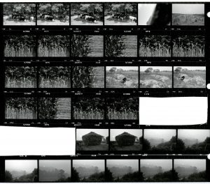 Contact Sheet 1682 by James Ravilious