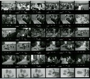 Contact Sheet 1684 by James Ravilious