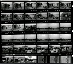 Contact Sheet 1699 by James Ravilious