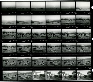 Contact Sheet 1700 by James Ravilious