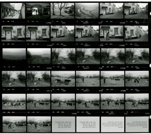 Contact Sheet 1701 by James Ravilious