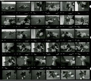 Contact Sheet 1708 by James Ravilious