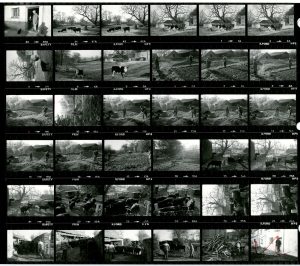 Contact Sheet 1709 by James Ravilious