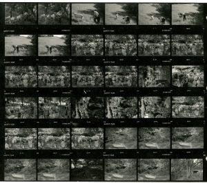 Contact Sheet 1743 by James Ravilious
