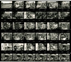 Contact Sheet 1745 by James Ravilious