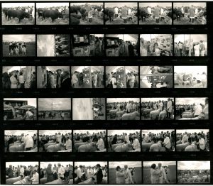 Contact Sheet 1752 by James Ravilious