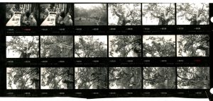 Contact Sheet 1764 by James Ravilious