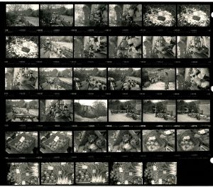 Contact Sheet 1769 by James Ravilious
