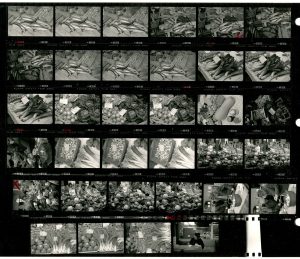 Contact Sheet 1771 by James Ravilious