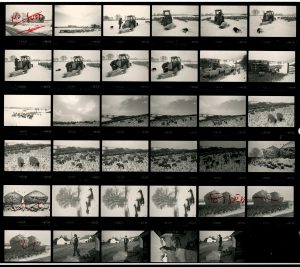 Contact Sheet 1793 by James Ravilious