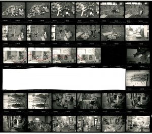 Contact Sheet 1796 by James Ravilious