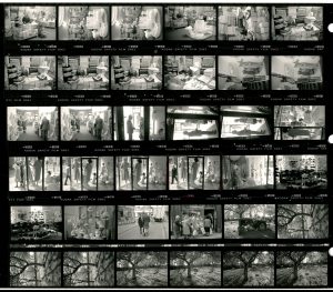 Contact Sheet 1797 by James Ravilious