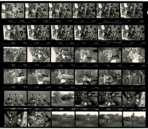 Contact Sheet 1802 by James Ravilious