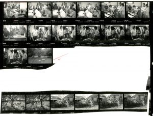 Contact Sheet 1807 Parts 1 and 2 by James Ravilious