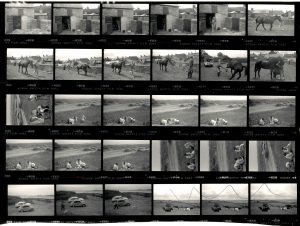 Contact Sheet 1815 by James Ravilious