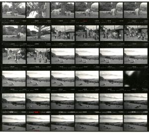 Contact Sheet 1817 by James Ravilious