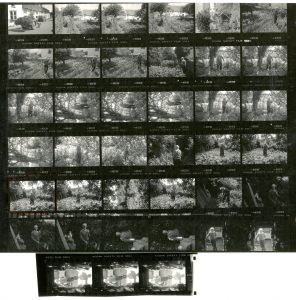 Contact Sheet 1819 by James Ravilious