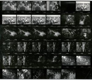 Contact Sheet 1821 by James Ravilious