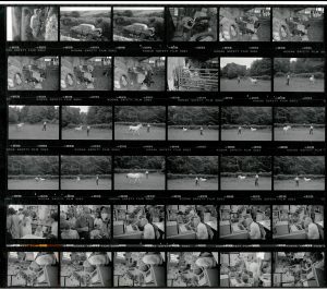 Contact Sheet 1827 by James Ravilious