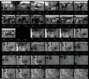 Contact Sheet 1829 by James Ravilious