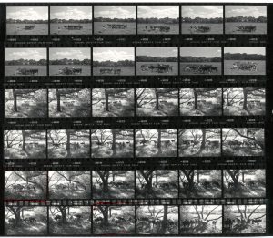 Contact Sheet 1834 by James Ravilious