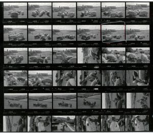 Contact Sheet 1839 by James Ravilious