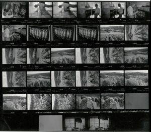 Contact Sheet 1840 by James Ravilious