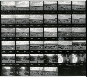 Contact Sheet 1841 by James Ravilious