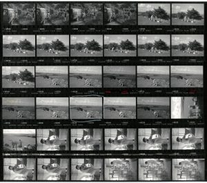 Contact Sheet 1842 by James Ravilious