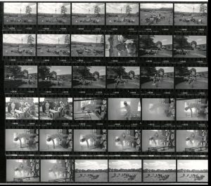 Contact Sheet 1844 by James Ravilious