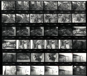 Contact Sheet 1845 by James Ravilious