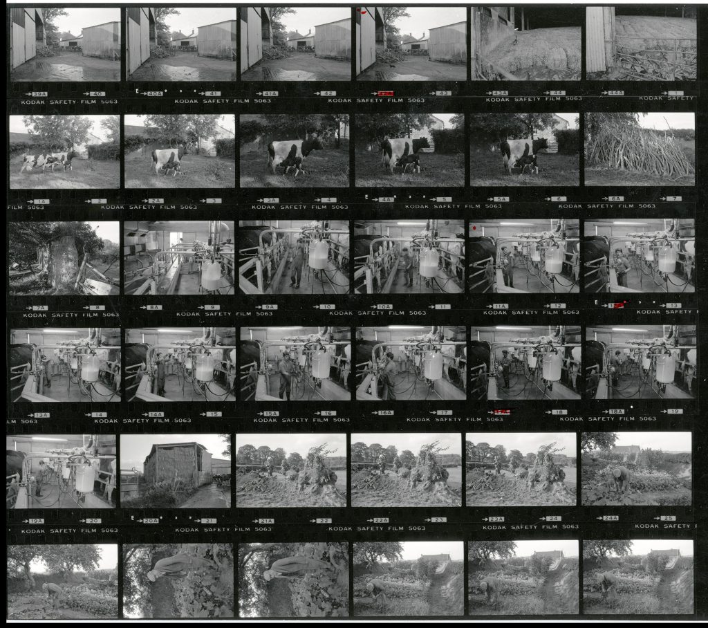 Contact Sheet 1854 by James Ravilious