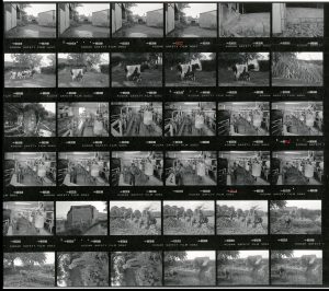 Contact Sheet 1854 by James Ravilious