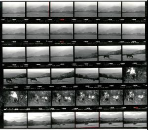 Contact Sheet 1857 by James Ravilious