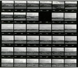 Contact Sheet 1863 by James Ravilious