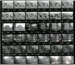 Contact Sheet 1865 by James Ravilious