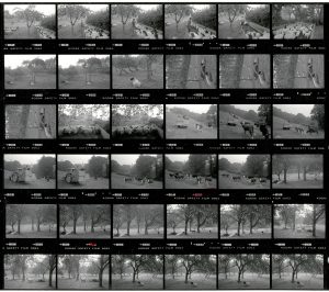 Contact Sheet 1877 by James Ravilious